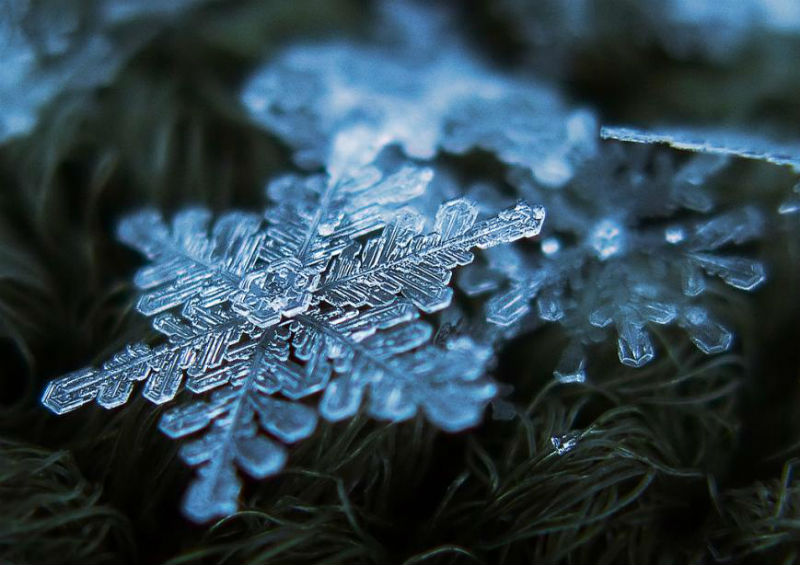 In fact, two identical snowflakes were documented as far back as 1988! It’s safe to assume there’s been other snowflake twins since then.