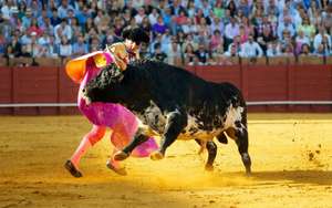 9 Sports That Can Kill You