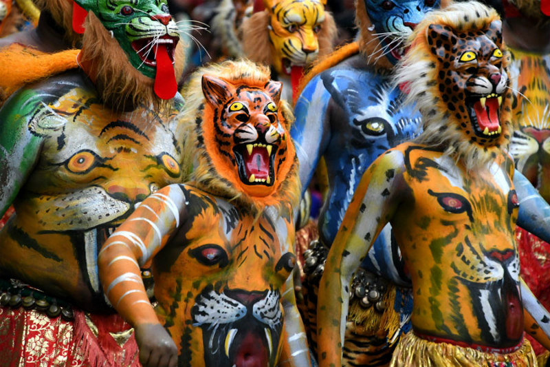 This unusual festival takes place in Thrissur, Kerala, and has people dressing up as tigers! Yep, you heard that right. The name Pulikali literally means “tiger dance”, and that’s exactly what’s happening during the festival with men dressed up and painted as tigers. The whole painting process can take up to several hours as there have to be a few layers of paint. It’s no easy task to perform like this!