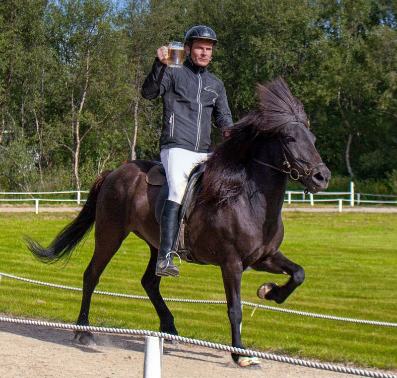 Now this is a game for me. It involves horseback riding and drinking a lot of beer. In a nutshell the less you spill while trotting, the more you can drink if you win! It’s a great way to test how skillful the rider is, while showing off the tölt (the horse’s unique gait). And there’s also a kids version of this Icelandic “sport”, only they don’t get to sip beer afterwards. It’s usually some non-alcoholic beverage, but still a fun little activity!