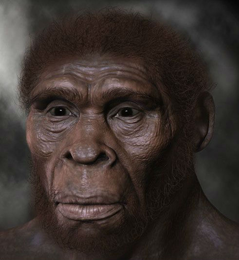 Let’s travel to South-East Africa now, 1.9-1.4 million years BC. The “working man” was a lot like H. erectus, but with some distinct differences in the skull structure and the brain size. They used stone axes and probably figured out how to make fire long before the others.
