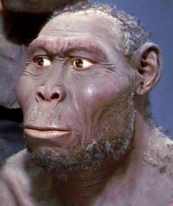 In 2007 a 1.9 million-year-old skull washed ashore near Lake Rudolf in Kenya. Only a single remnant of this species has been found so far, and according to the scientists it was more of a smart ape than a human.