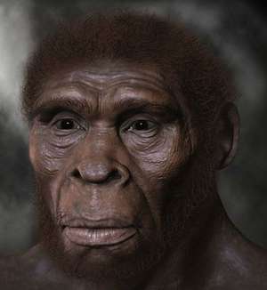 7 Extinct Human Species - Mashed